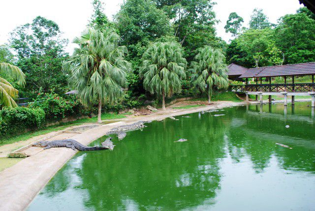 Langkawi Crocodile Farm